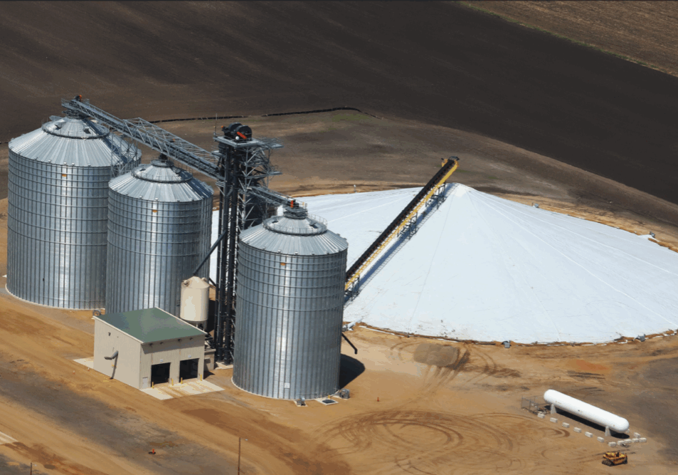 Screen Shot 2022-01-28 at 3.19.04 PM